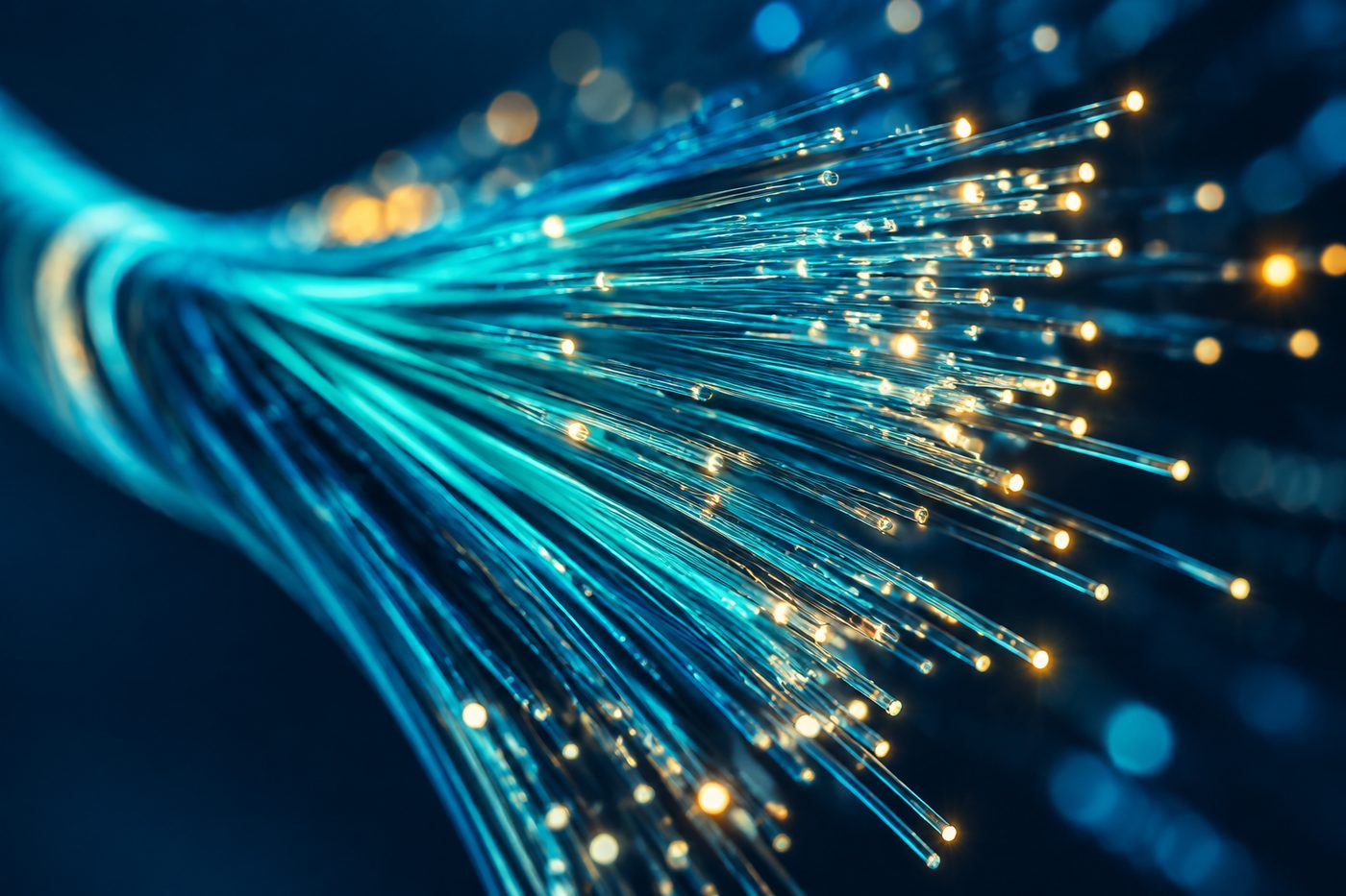 Fasci di fibra ottica illuminati che trasportano dati ad alta velocita
